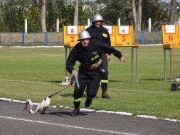 Dominacja Grębowa