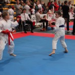 Karate Mistrzostwa Wielkopolski (10)