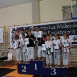 Karate Mistrzostwa Wielkopolski (14)