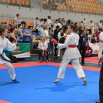 Karate Mistrzostwa Wielkopolski (18)