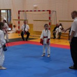 Karate Mistrzostwa Wielkopolski (28)