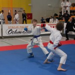 Karate Mistrzostwa Wielkopolski (3)