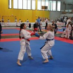 Karate Mistrzostwa Wielkopolski (33)