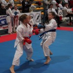 Karate Mistrzostwa Wielkopolski (8)