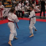 Karate Mistrzostwa Wielkopolski (9)