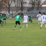 Piast BO (7)