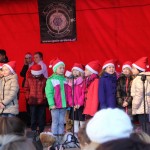 Jarmark 2015 (27)