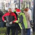 Lions rynek (10)