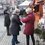 Lions rynek (18)