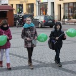 Lions rynek (52)