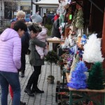 Lions rynek (56)