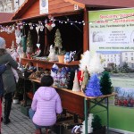 Lions rynek (58)