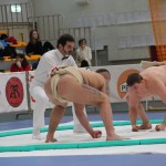 Sumo PP (61)