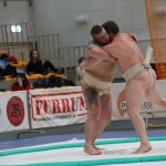 Sumo PP (62)