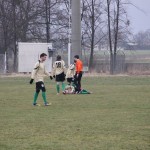 Piast Obra (7)