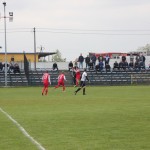 Piast Gołuchów  (18)