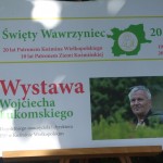 Jarmark Wawrzyńca 1 (41)